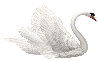 White Swan celebrations